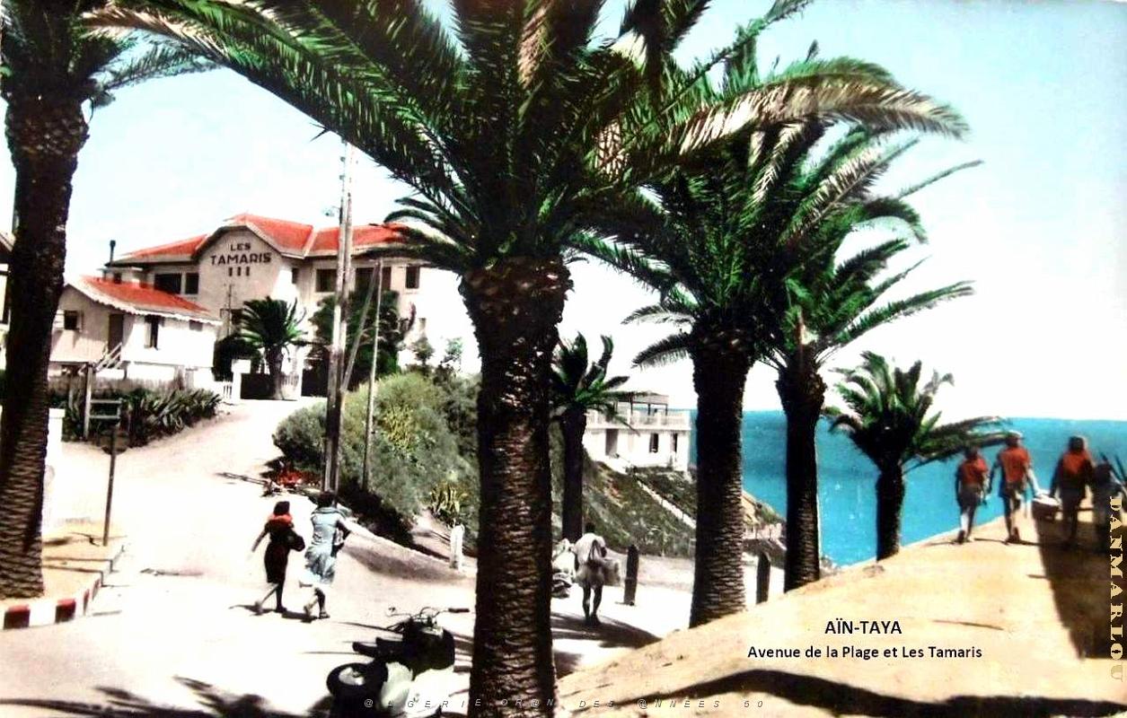 Ain-Taya - Avenue de la Plage et Hotel Les Tamaris.jpg